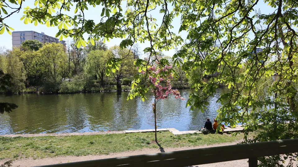 Belaubte Zweige rahmen einen Uferweg mit Blick auf das Wasser.